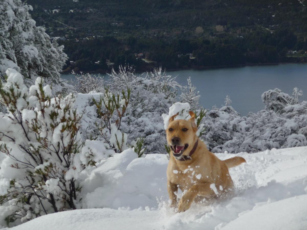 Galileo Boutique Hotel San Carlos de Bariloche Dış mekan fotoğraf